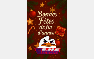 Bonnes fêtes de fin d'année
