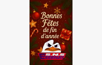 Bonnes fêtes de fin d'année