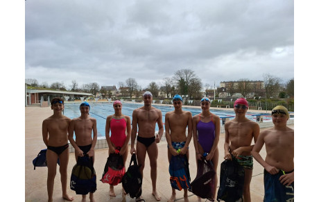 Stage Elites SNSE 2026 à Dijon